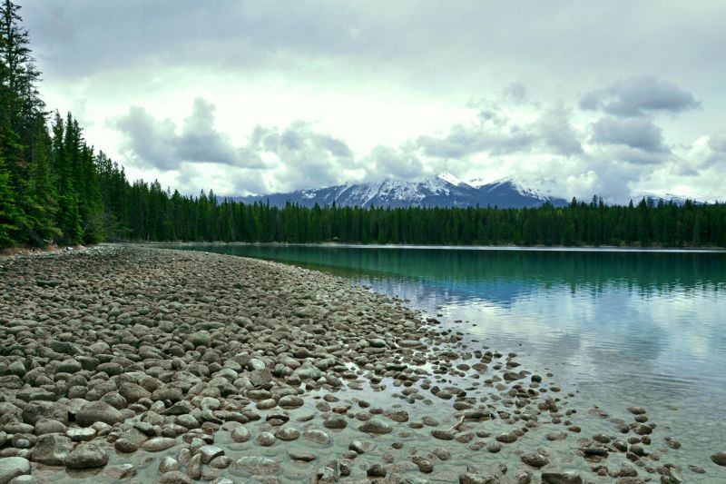 stromy, krajina, les, jezero, voda, Příroda stromy, krajina, les, jezero, voda, Příroda