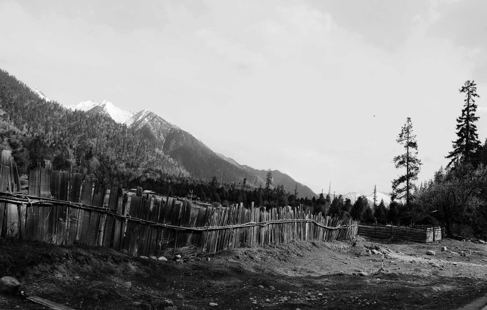 krajina, černobílý, kopec, Příroda, sníh, zima, silnice, fotografování, vesnice, strom, hora, tělesné, venkov, atmosférický jev, Černý a bílý, monochromatické fotografování, horských reliéf