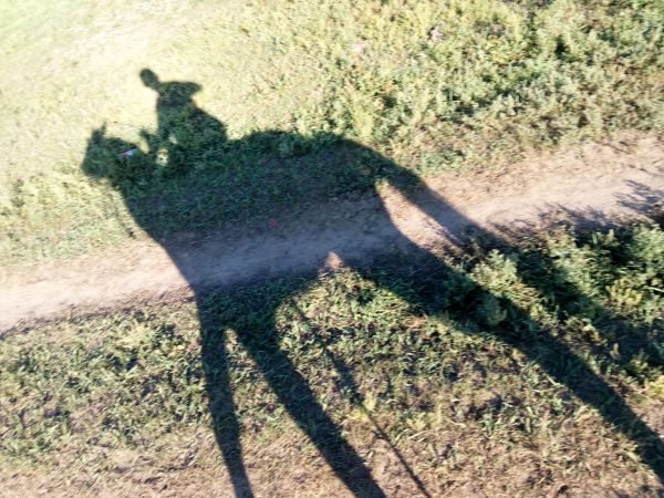 horse riding,grass