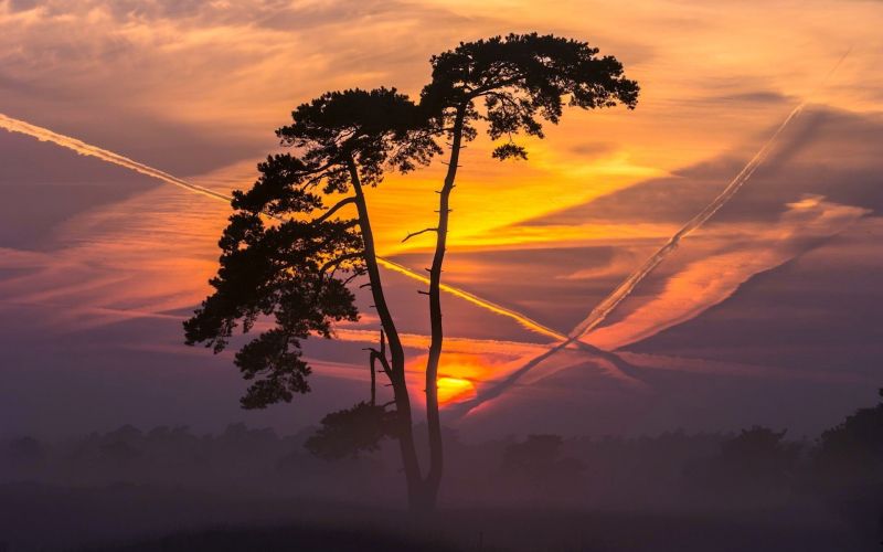 sunlight, sunset, nature, sky, trees, field sunlight, sunset, nature, sky, trees, field