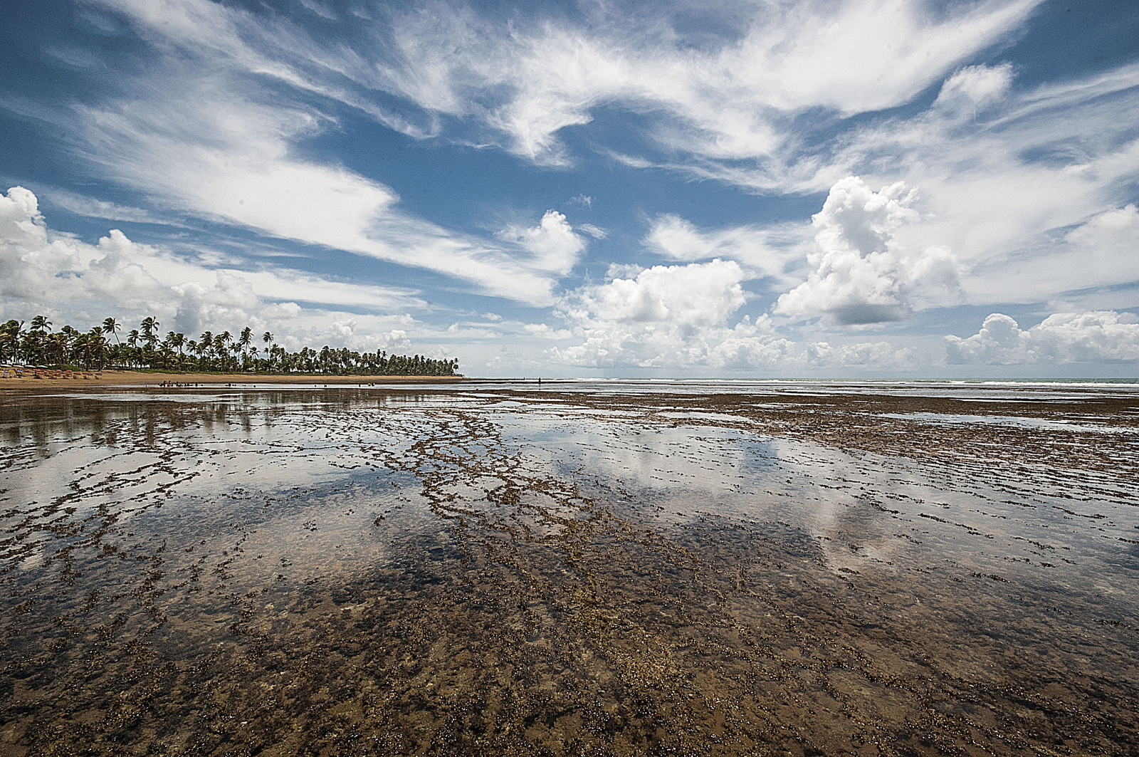 paesaggio, mare, acqua, puntellare, sabbia, riflessione, cielo, spiaggia, calma, costa, orizzonte, Nikon, Brasile, Brasil, zone umide, Salvador, nube, oceano, Forte, mar, playa, filo, plaza, marea, plage, spiaggia, pl, praia, fare, bresil, Brasile, bahia, brasile, oceano, D80, palude, litoral, fenomeno meteorologico, mudflat, plaj, stranden, eti, Brazilië, dias, bien, bo, corais, Brezilya, Praias, Davila, Okun