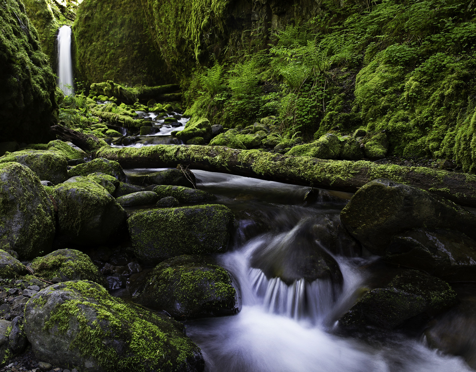 Oregon Ravines Wallpaper : landscape, waterfall, rock, reflection, grass, moss, river ...