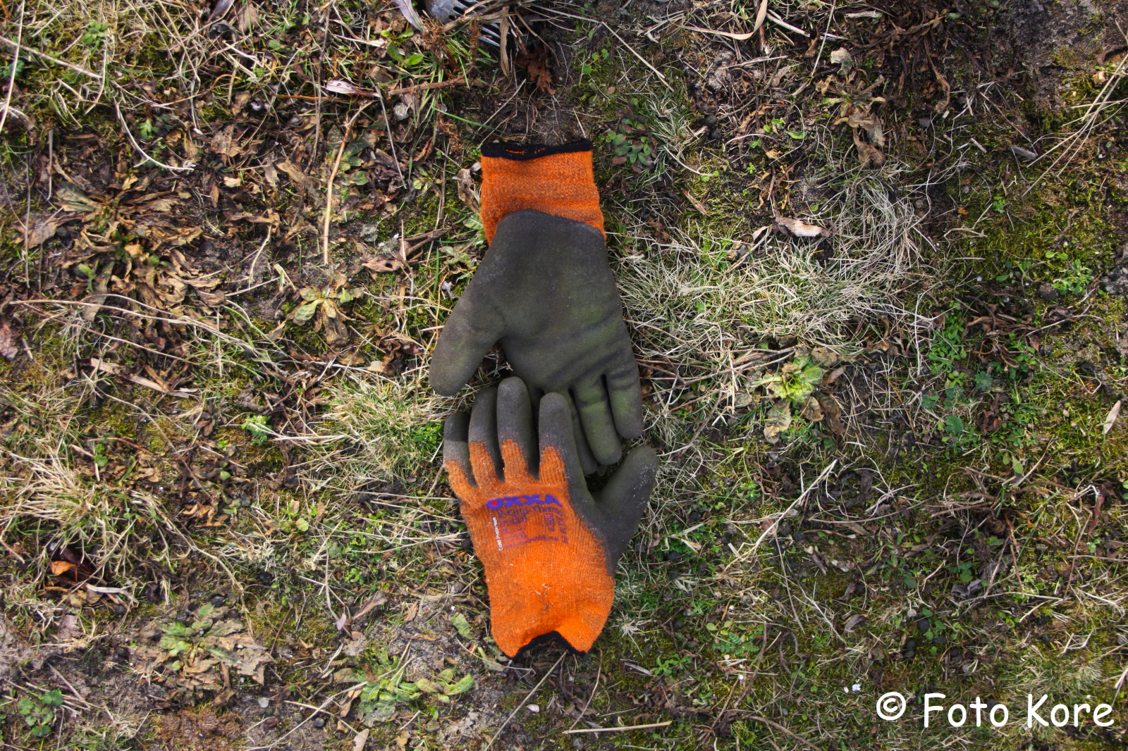 città, astratto, natura, minimalismo, urbano, erba, fotografia, avvicinamento, guanti, Olanda, Amsterdam, becco, ARTE, uccello, al di fuori, stad, creativo, Nederland, Fotografie, rifiuto, dispari, natuur, Buiten, famiglia di erba, minimalisme, spazzatura, heevix, fotokore, heevixphotography, IAmsterdam, vreemd, koreheerema, Guanti, Afval, Spreco di denaro, Afvalindenatuur