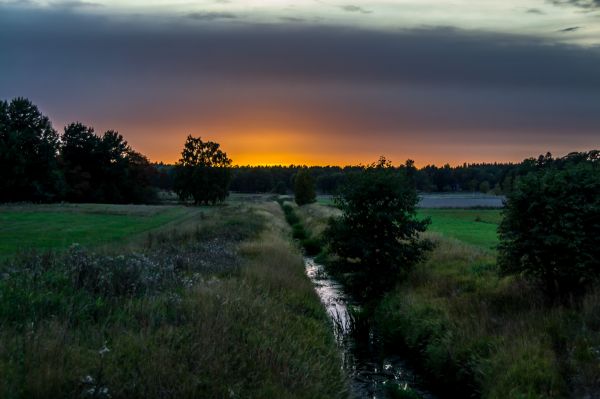 sunset,cloud,field,autumn,Sun,Sol