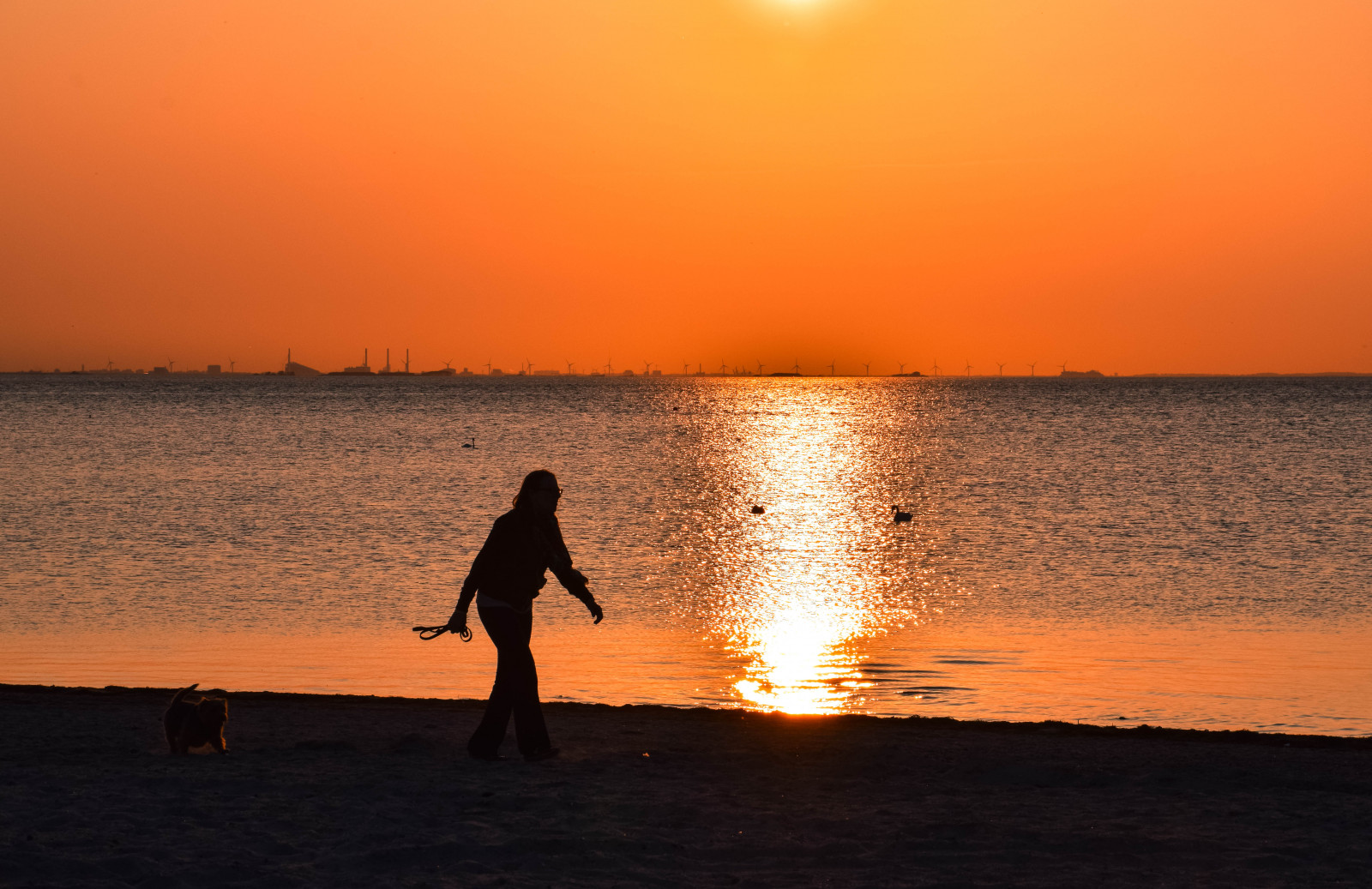 sollys, solnedgang, hav, vand, natur, kyst, afspejling, himmel, silhuet, strand, solopgang, aften, morgen, kyst, Sol, orange, horisont, Sverige, Europa, skumring, lyserød, Sverige, daggry, udendørs, ocean, bølge, sk nel n, SE, Ribersborg, himmel, Ribban, streng, solnedg ng, Siluette, malmø, horiston, efterglød