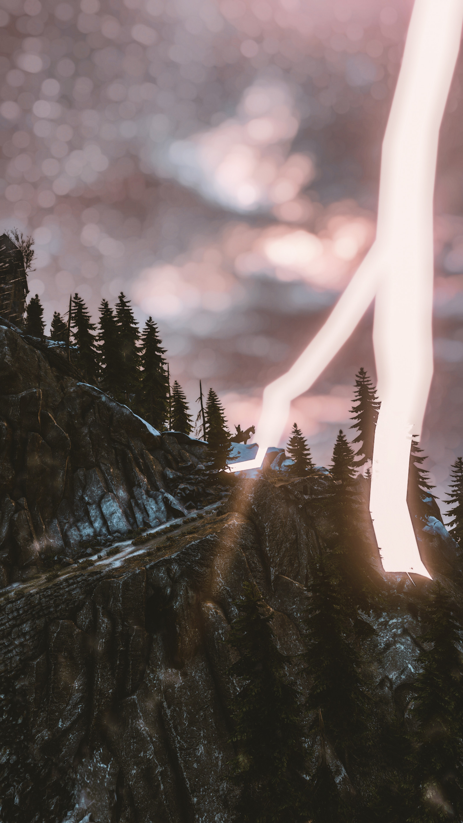 Wallpaper : The Witcher 3 Wild Hunt, The Witcher 2160x3840 - junwei0722