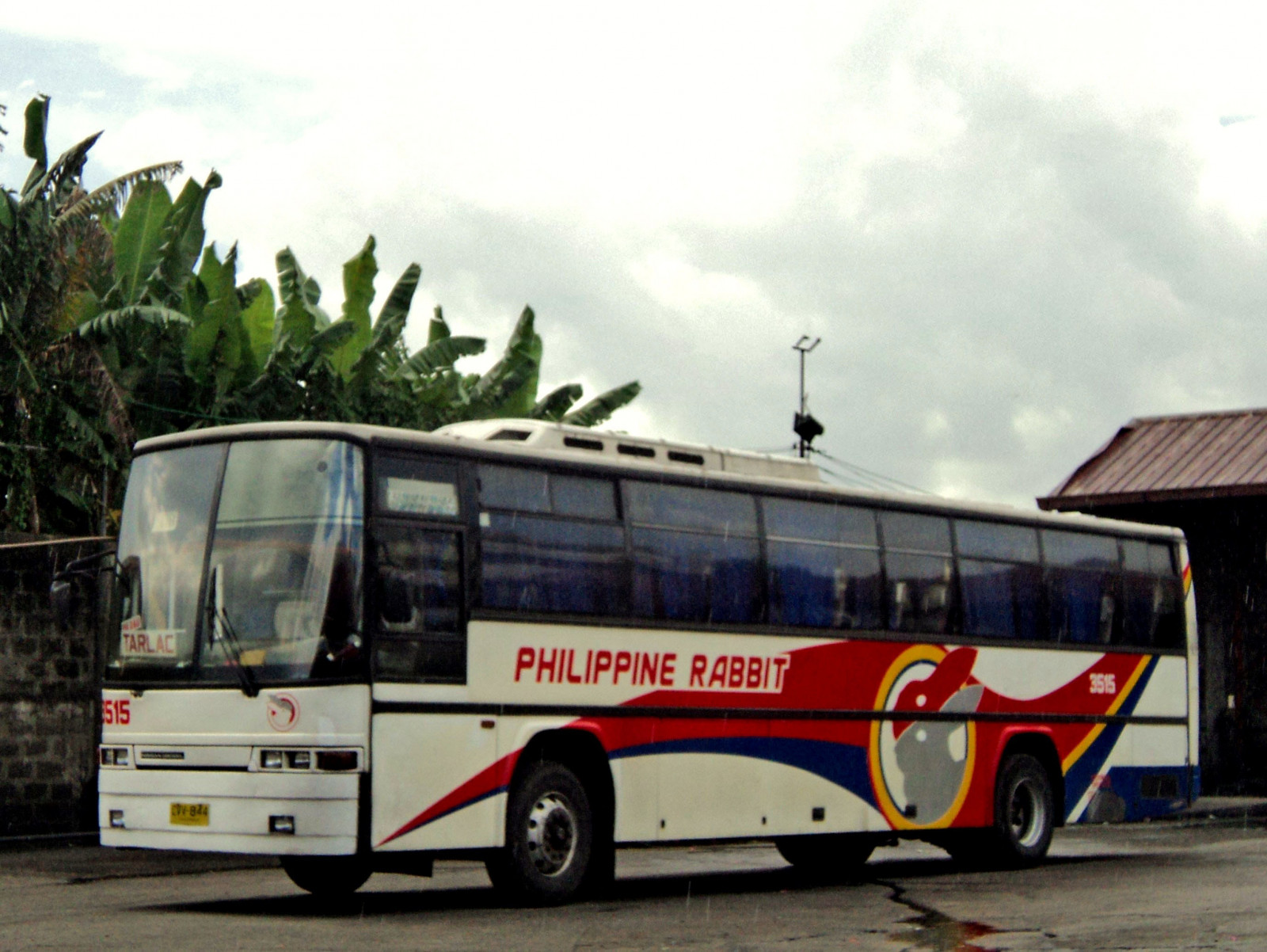 Philippine Rabb Wallpaper : Nissan, rabbit, euro, diesel, metropolitan area, land ...