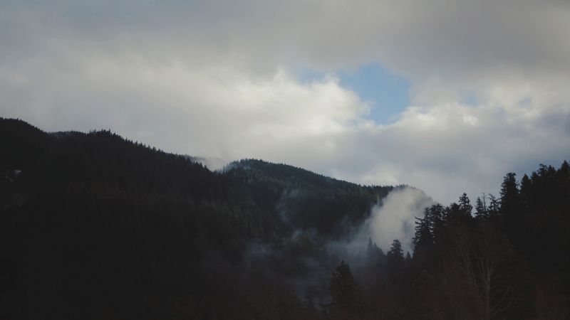 napfény, tájkép, erdő, hegyek, hegy, fák napfény, tájkép, erdő, hegyek, hegy, fák