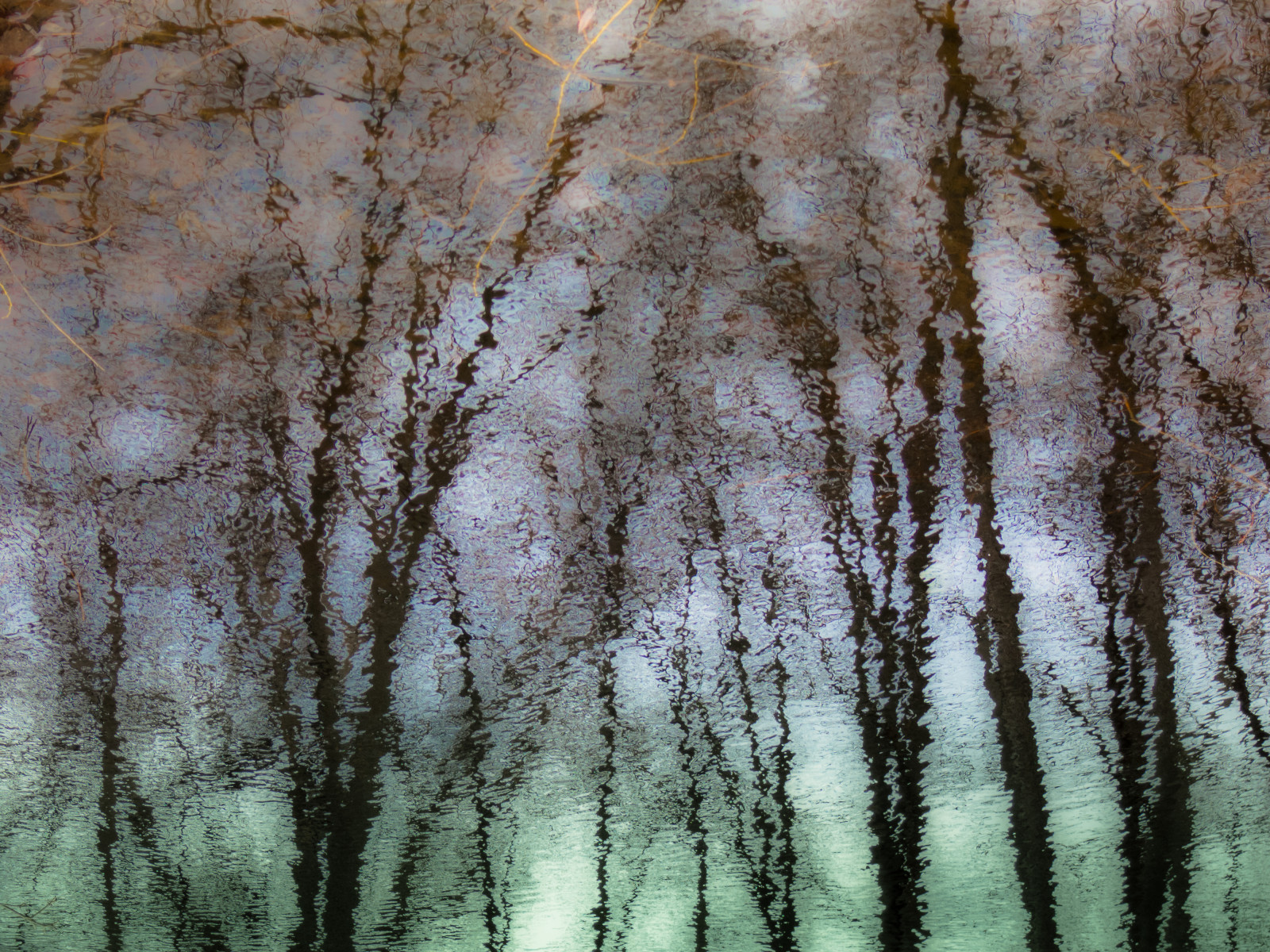 Trees Reflection Texture Wallpaper : forest, abstract, reflection, winter, branch, green, frost ...