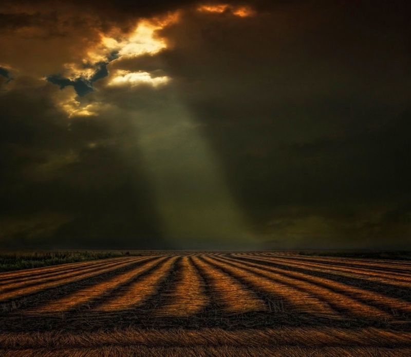 sunlight, landscape, sunset, nature, sky, field sunlight, landscape, sunset, nature, sky, field
