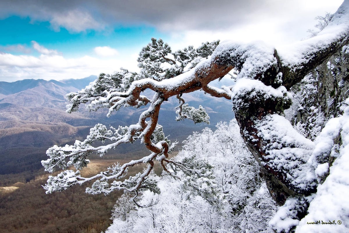 1200x800 px, la nature, neige