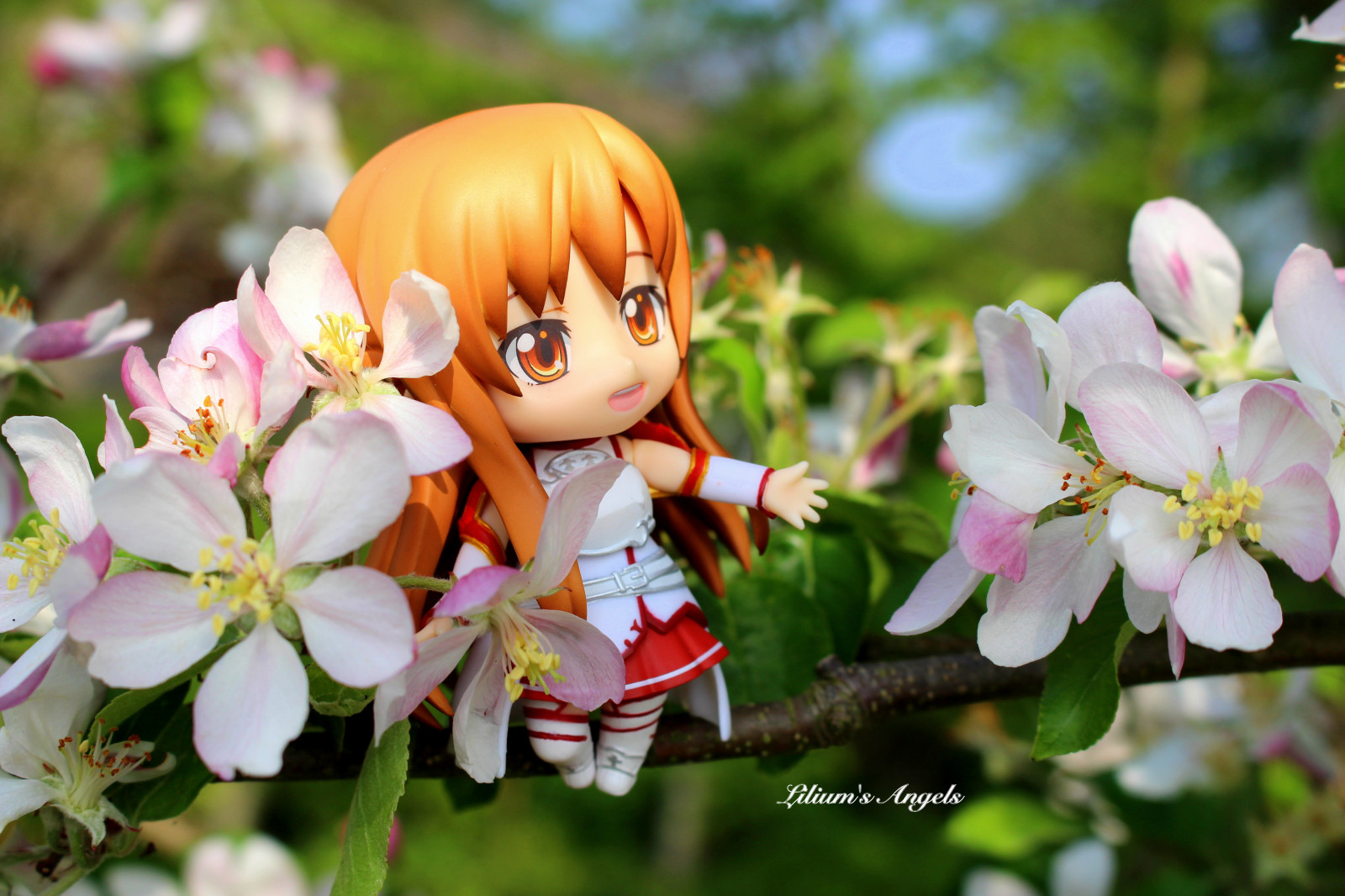 Gras, Schwert, Haar, Krone, blühen, Rosa, Frühling, online, KUNST, Blume, niedlich, Pflanze, Flora, Blütenblatt, Freund, schuldig, Inori, Computer-Tapete, blühende Pflanze, Yuuki, Asuna