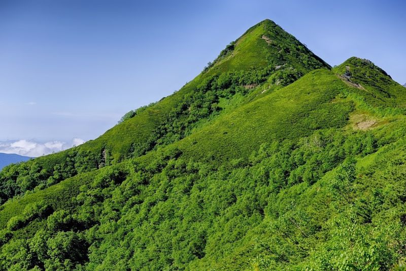 landscape, forest, hill, nature, green, photography landscape, forest, hill, nature, green, photography
