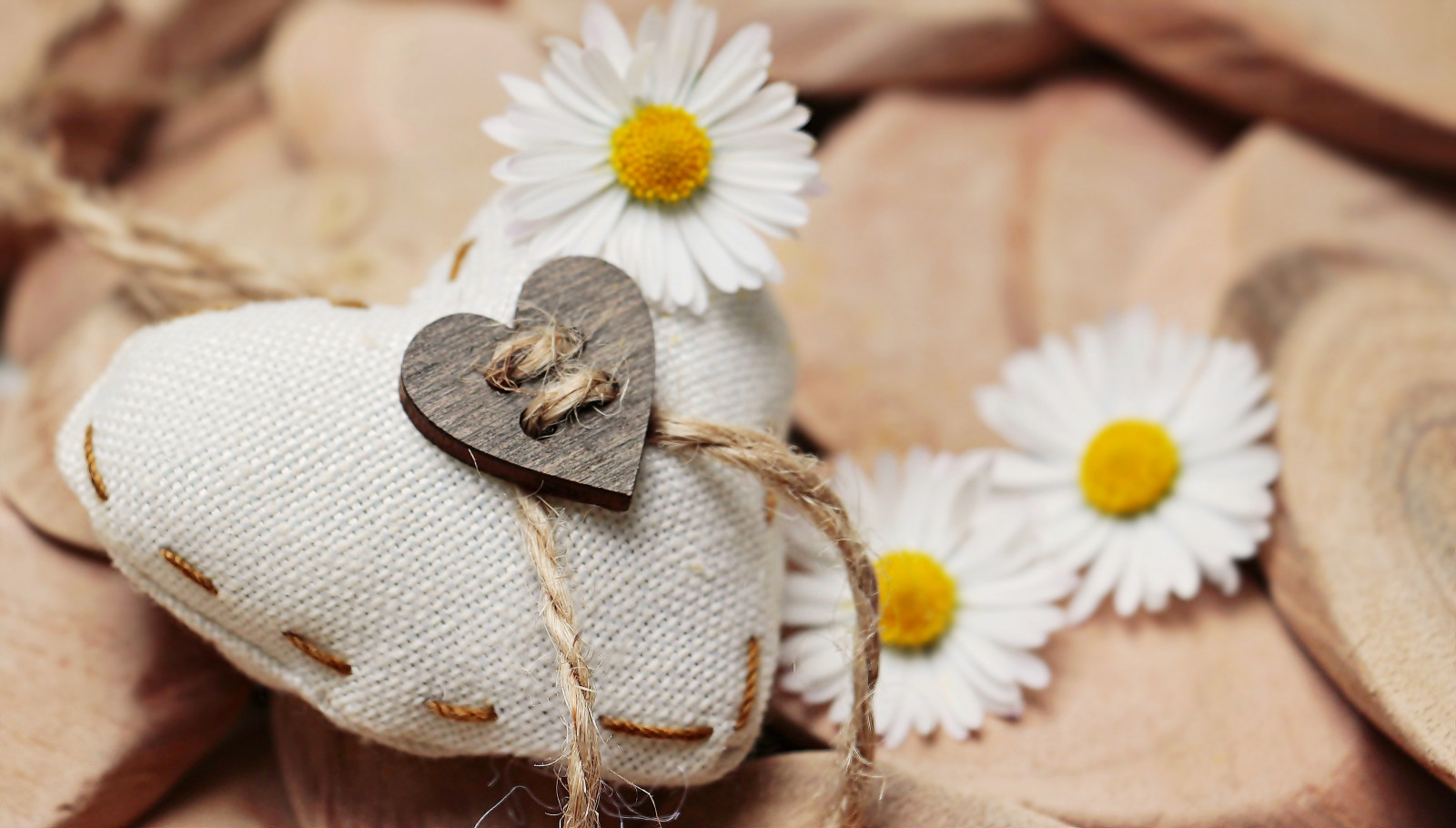 heart, daisies, threads, romance