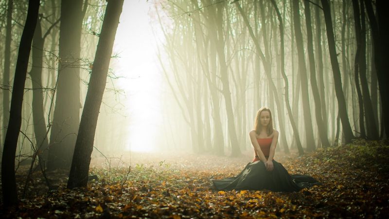 slunečnímu záření, les, ženy venku, ženy, model, Příroda slunečnímu záření, les, ženy venku, ženy, model, Příroda