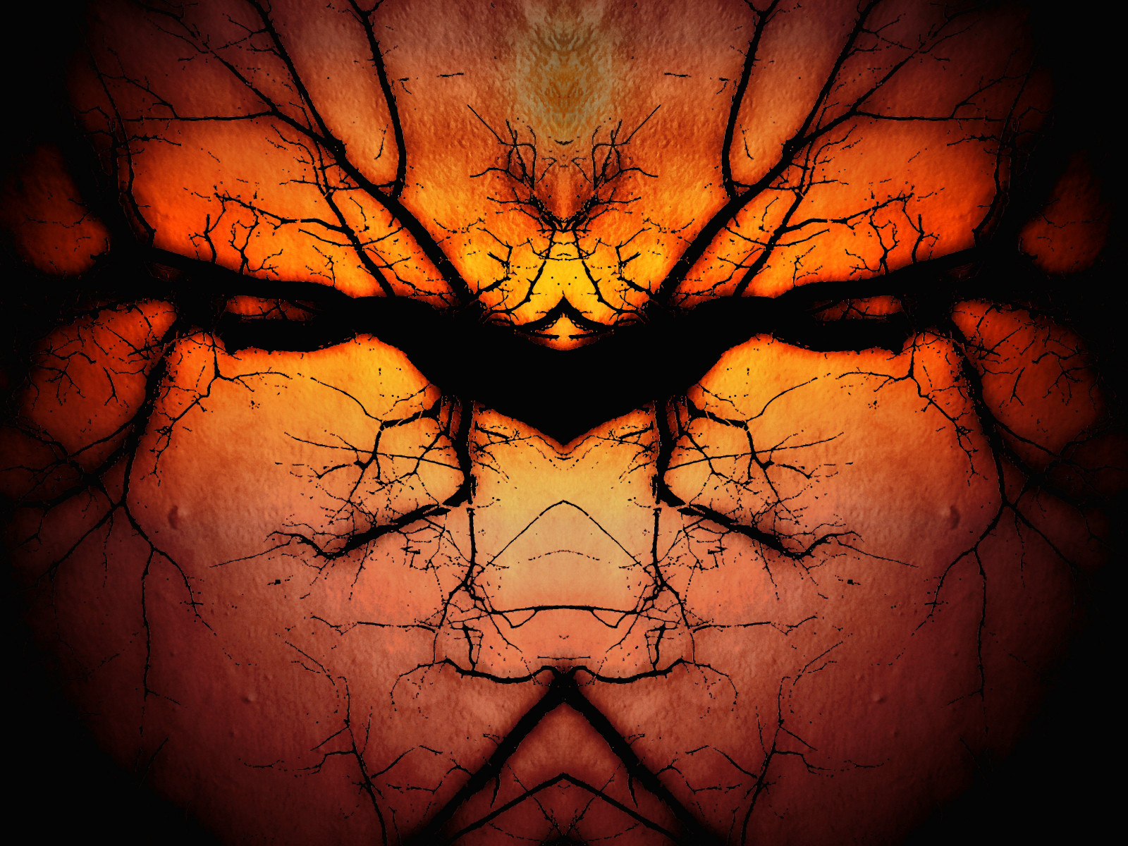 abstraktní, odraz, strom, textura, větev, 180, končetina, texturou, magicunicornverybest, blinkagain, bestevercompetitiongroup, besteverdigitalphotography