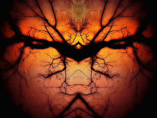 tree,texture,abstract,reflection,branch,180