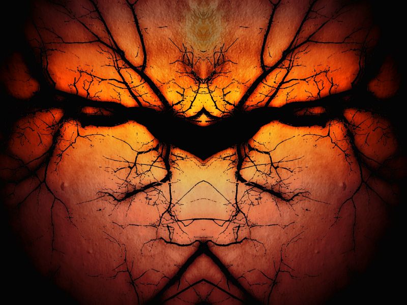 pohon,tekstur,abstrak,refleksi,cabang,180