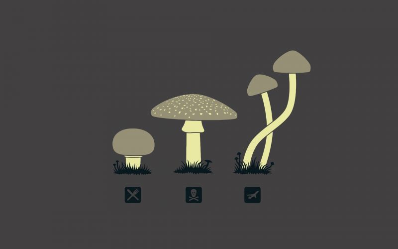 illustration, minimalisme, tekst, logo, champignon, tegneserie