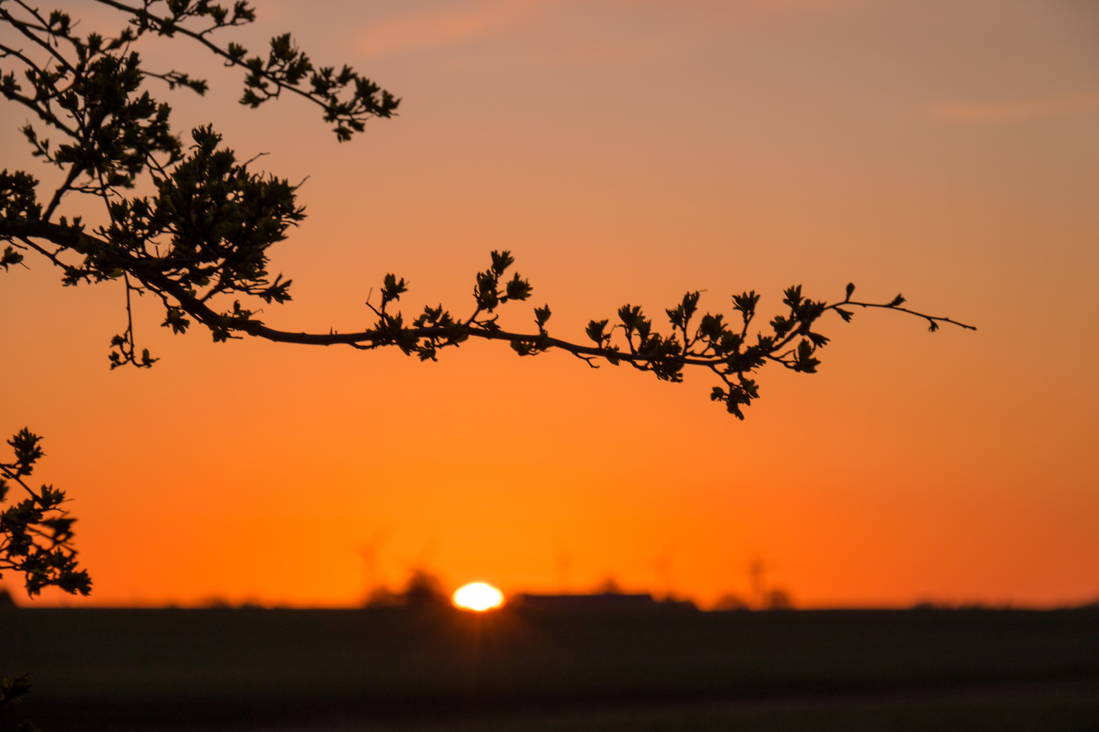Sonnenlicht, Landschaft, Sonnenuntergang, Natur, Himmel, Feld, Silhouette, Ast, Sonnenaufgang, Abend, Morgen, Sonne, Horizont, Dämmerung, Wolke, Baum, Dämmerung, Himmel, Landschaft, Geschmolzen, Landschaftlich, Solution, S dersl tt, Landkap, Prärie, Atmosphärisches Phänomen, Nachglühen, Roter himmel am morgen, Savanne