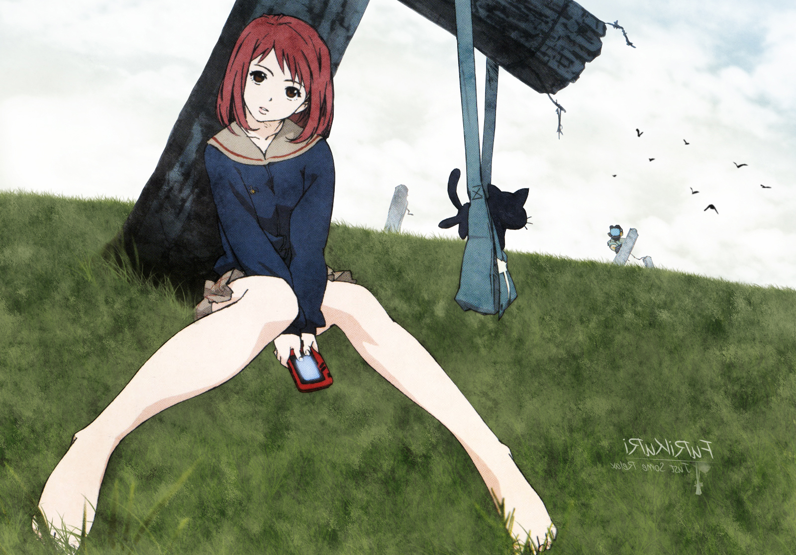 Baggrunde : illustration, anime, græs, himmel, sort hår, killinger ...