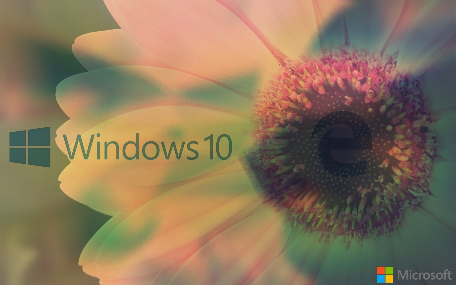 2560x1600 px, dos, Microsoft Windows, ms, window, Windows 10, Windows Vista, Windows XP
