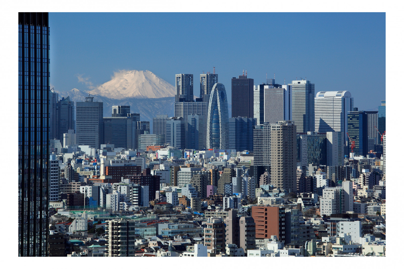 Giappone, città, paesaggio urbano, urbano, orizzonte, grattacielo, metropoli, Tokyo, centro, Shinjuku, Bunkyo, 5DII, Tokio, Fujisan, insediamento umano, Zona residenziale, palazzone, giungla urbana, gettyimagesjapan13q1, Monte Fuji, tokyoarchitecture, shinjukuskyline, bunkyociviccenter, tokyoskyscrapers, shinjukumtfuji, shinjukumtfujiview