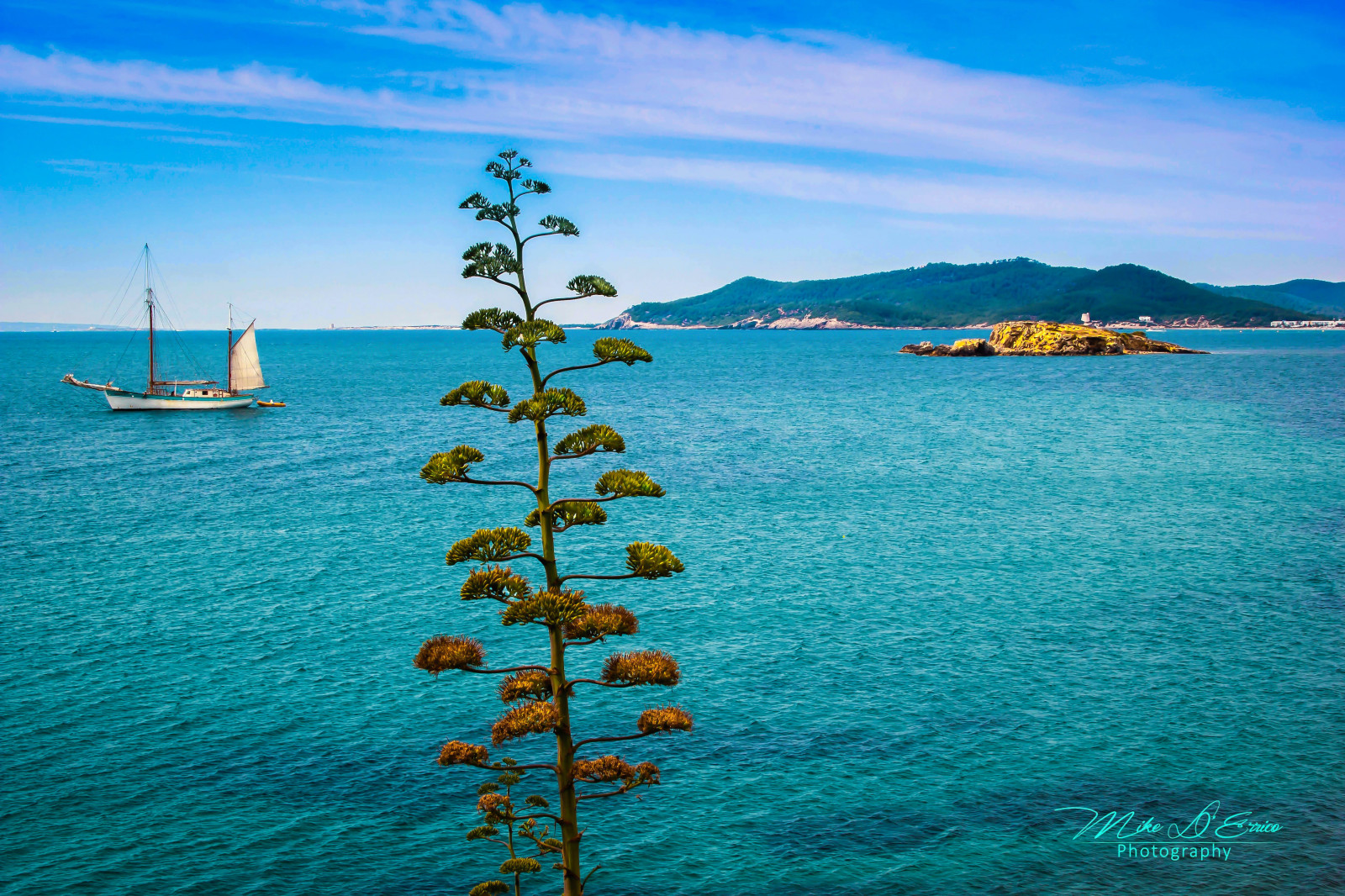 Evropa, Španělsko, oslava, cestovat, dovolená, pláž, oceán, moře, loď, strom, letní, voda, hora, modrý, zelená, nebe, mraky, rozjímání, pláže, ses, solné roztoky, tyče, ráj, tyrkysový, písek, slunce, záliv, pobřežní čára, západ slunce, barva, scénický, návštěva, potápění, scubadiving, Potápění, rostlina, rostliny, větve, listy