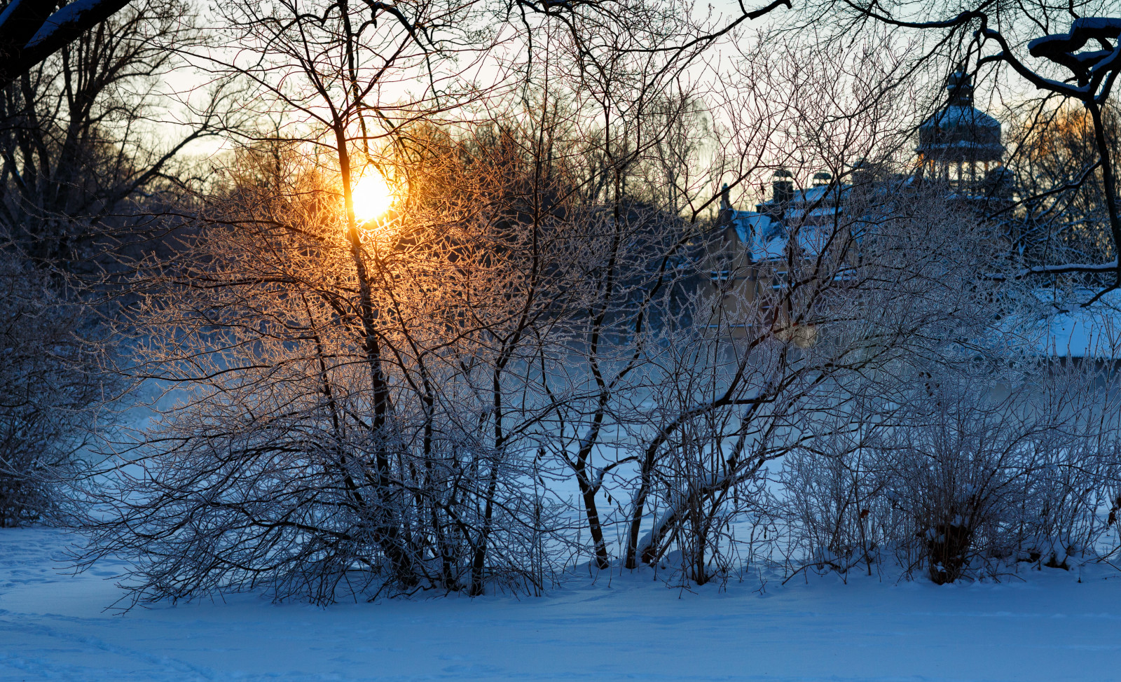 zima, sníh, Studený, strom, Vinter, Švédsko, Stockholm, Sverige, Jinovatka, sno, tr d, djurg rden, Nordiskamuseet, rimfrost, kallt, stockholmsl n, canonef85mmf12liiusm, Lushusporten