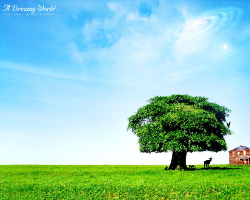 แสงแดด, แนวนอน, เนินเขา, หญ้า, ท้องฟ้า, ฟิลด์ แสงแดด, แนวนอน, เนินเขา, หญ้า, ท้องฟ้า, ฟิลด์