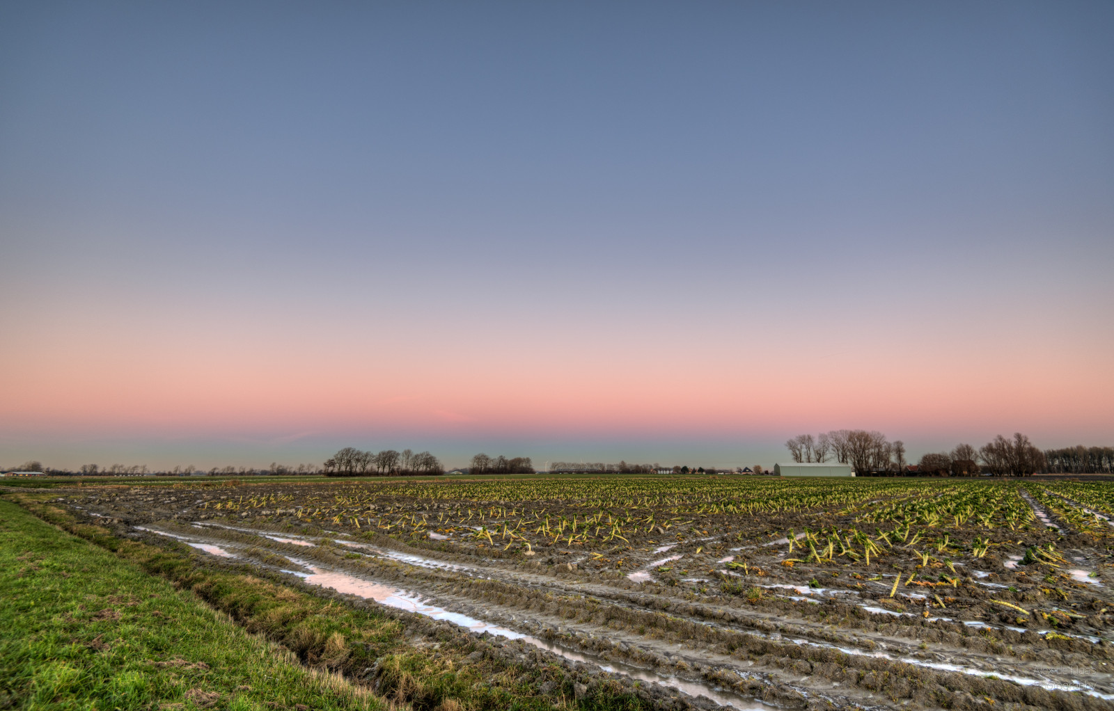 Himmel, Feld, Horizont, Dämmerung, Morgen, Ebene, Bauernhof, ländliches Gebiet, Abend, Atmosphäre, Baum, Sonnenlicht, Wolke, Polder, Landwirtschaft, Gras, Ernte, Straße, Ecoregion, Feuchtgebiet, Landschaft, Prärie, Dämmerung, Wiese, Wiese, Sonnenuntergang, Grasfamilie