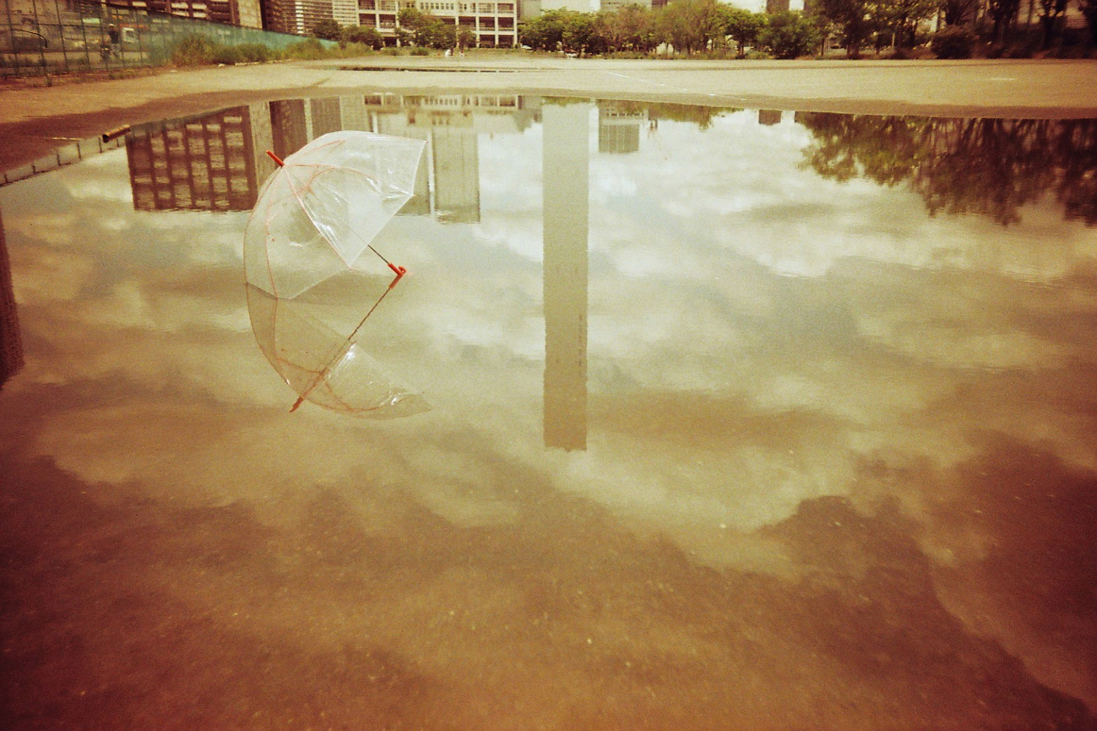 sollys, maleri, afspejling, aften, morgen, struktur, 2012, KUNST, farve, materiale, form, billede, lomo, redscale, moderne kunst, LCA, harumifuto, lcarl, redscalexr