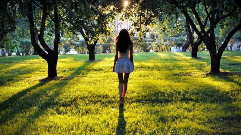 luz de sol,Árboles,mujer,pelo oscuro,césped,vestido blanco