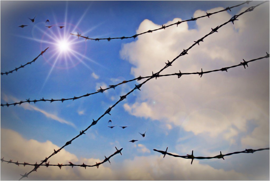 Wallpaper : Ulrike, ulrikehe, uli, ulihe, ulrikehergert, hergert, Nikon