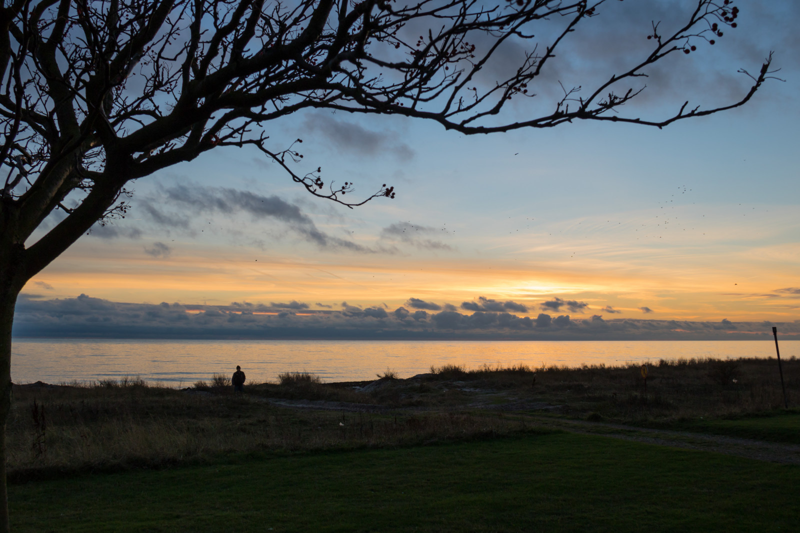 แสงแดด, แนวนอน, พระอาทิตย์ตก, ทะเล, เนินเขา, ธรรมชาติ, หญ้า, ท้องฟ้า, ฟิลด์, พระอาทิตย์ขึ้น, ตอนเย็น, เช้า, หมอก, ชายฝั่ง, ขอบฟ้า, พลบค่ำ, เมฆ, ต้นไม้, รุ่งอรุณ, ปลูก, himmel, solnedg ng, tr d, hav, ลินคอล์น, Trelleborg, kust, exif model canoneos760d, ประเทศธรณีวิทยา, กล้องทำให้ Canon, geocity, กล้องรุ่น canoneos760d, geostate, ตำแหน่งทางภูมิศาสตร์, เลนส์ Exifs efs18200mmf3556is, exif ทำให้ canon, exif isospeed 100, รูรับแสง exif 63, ความยาวโฟกัส 20 มม, ที่ราบ, ทุ่งหญ้า, เขตชนบท, ปรากฏการณ์บรรยากาศ, ไม้ยืนต้น