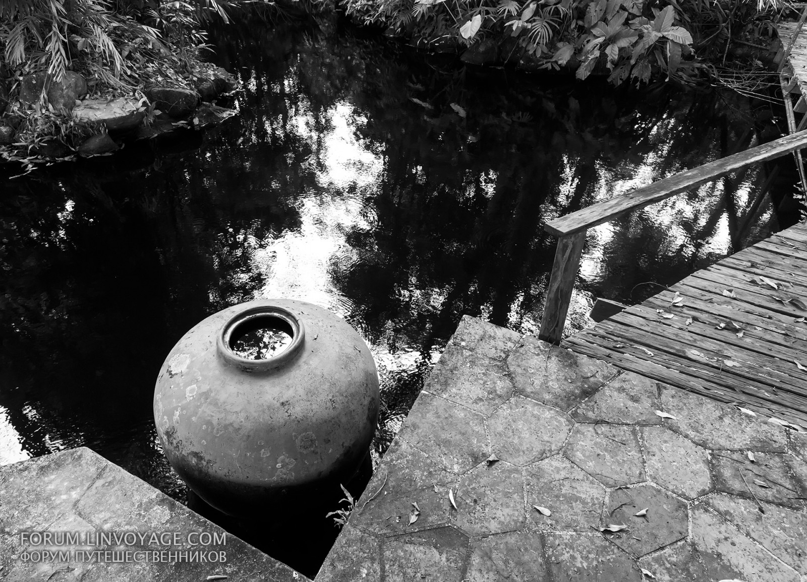 landskab, blade, hvid, sort, gammel, monokrom, gammel, bakke, sø, vand, klippe, natur, rød, afspejling, fotografering, træ, berolige, ø, Dam, jungle, Thailand, sort og hvid, træ, blad, bjerg, udendørs, bw, sort hvid, opgive, mørke, phuket, patong, karon, kata, sort og hvid, monokrom fotografering