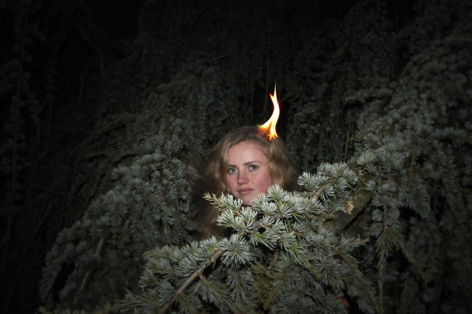 Wallpaper winter, cold, flower, fall, love, phoenix, girl, dark