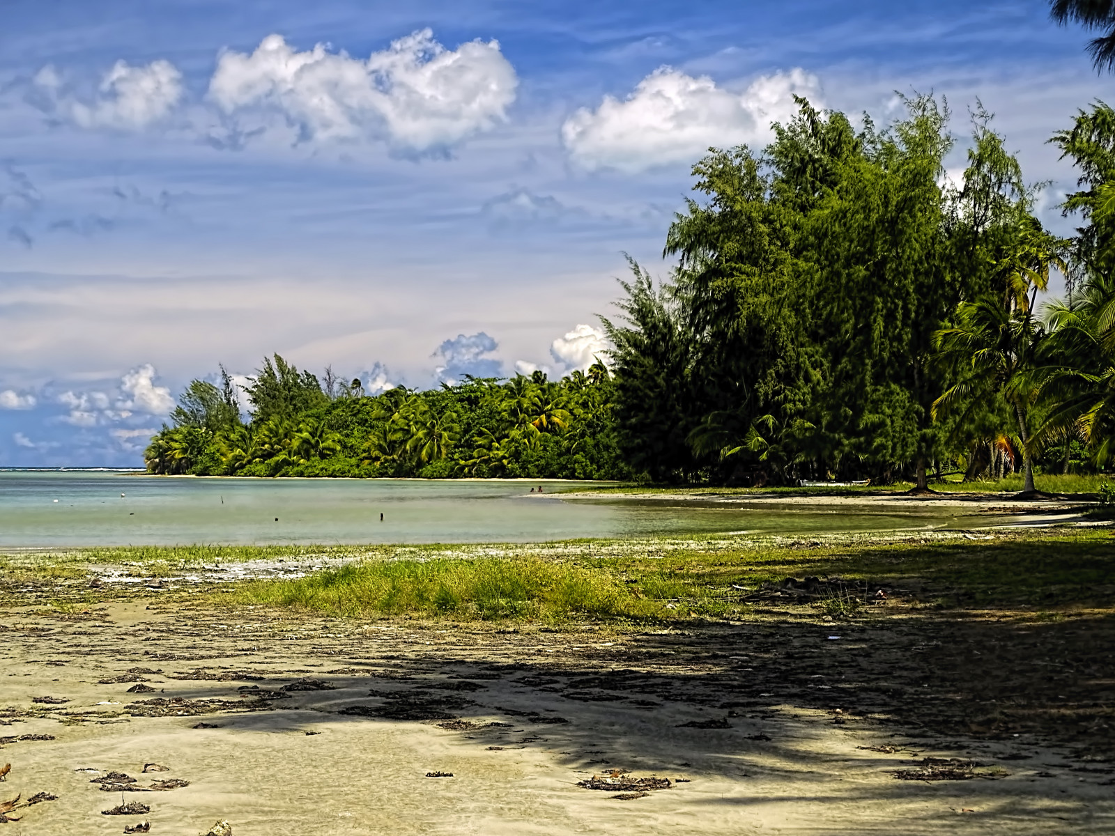 oceán, modrý, moře, nebe, mrak, slunce, bouřka, strom, zelená, pláž, Veřejnost, voda, Krásná, krása, odpočinout si, puerto, písek, San, teplý, měkký, nebe, Surfovat, den, vlny, Přestávka, Klid, juan, málo, kokosový ořech, Nirvana, venkovní, u, zátoka, hrozivý, tyrkysový, malý, vlna, Slunný, uklidnit, dlaň, atlantický, půlměsíc, Rico, skrytý, tropický, vstupní, nabubřelý, utopie, velkolepý, ohrožení, nebezpečí, modrá zelená, Luquillo, odloučený, směs, Tajné, Uzavřít