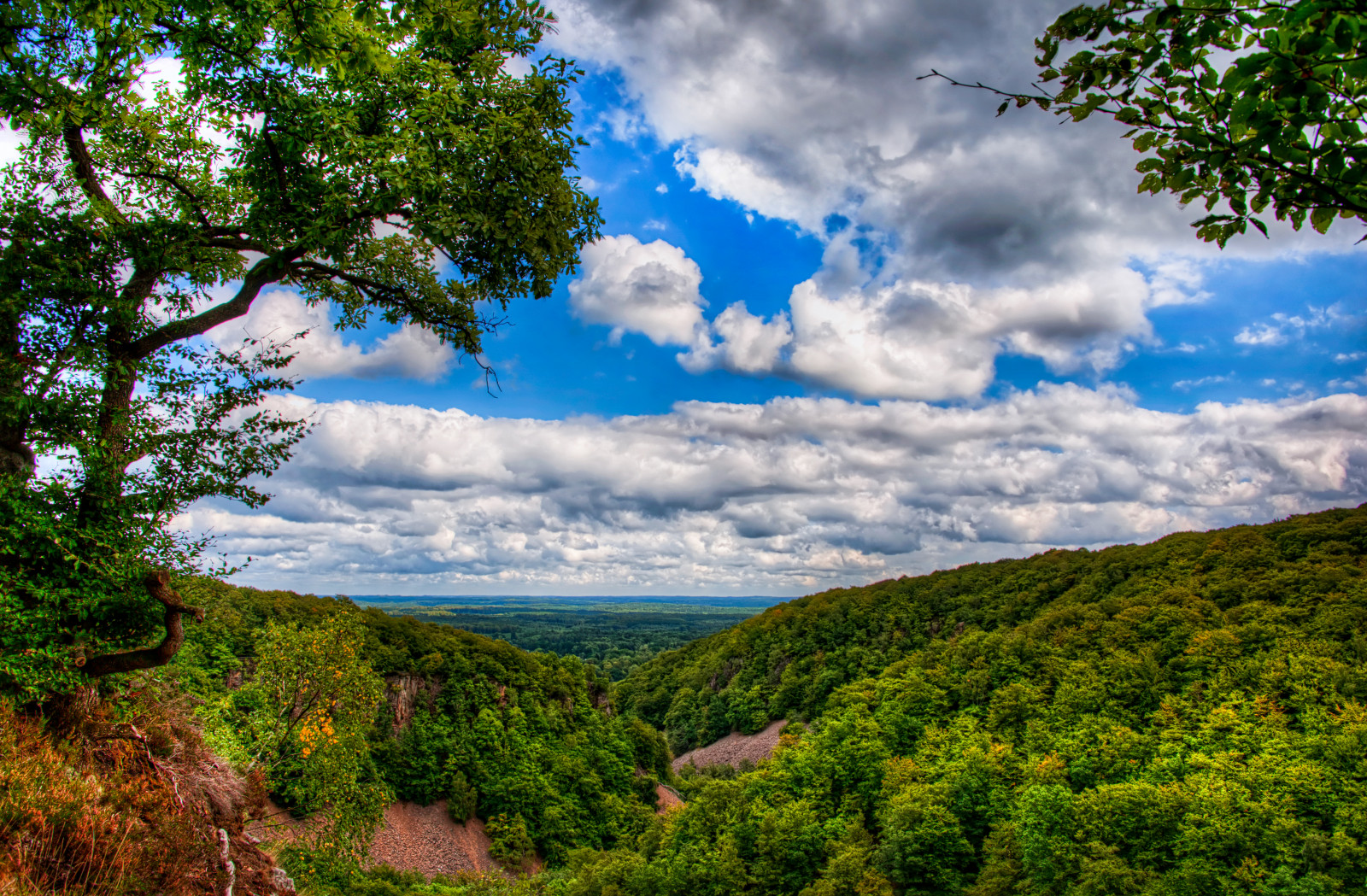 stromy, krajina, les, kopec, Příroda, tráva, nebe, pole, mraky, zelená, HDR, národní park, letní, divočina, Švédsko, džungle, teplý, mount scenérie, deštný prales, studovat, kůra, přírodní rezervace, univerzita, svatyně, Expedice, mrak, strom, podzim, hluboký, list, barvy, hora, Pohled, lučina, rostlina, větve, Lund, les, barvy, vegetace, s der sen, Ušlechtilý, teplo, louka, chod, horký, skvělý, během dne, D700, vysočina, oblaky, geologie, venkov, počítač tapeta, horských reliéf, ekosystém, biome, stanice hill, smíšený les, meteorologický jev, klesl, křoviny, nasycený, appe, nikkor28300mm, sráz, Skane, tropical and subtropical coniferous forests, valdivian temperate rain forest