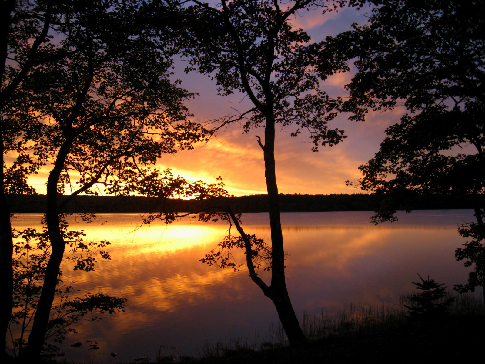 slunečnímu záření, západ slunce, jezero, Příroda, odraz, větev, svítání, večer, ráno, soumrak, mrak, strom, svítání, platinumheartaward, Bravo, atmosférický jev, odlesk, dřevina, superhearts, yarmouthnovascotia