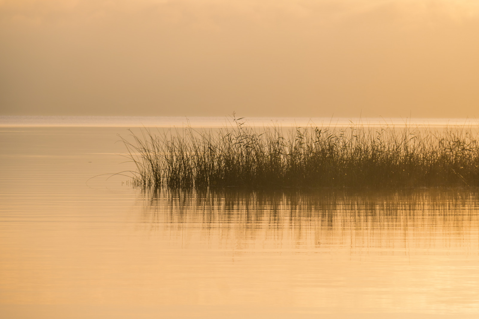 sunlight, sunset, sea, lake, water, shore, reflection, sky, wood, sunrise, calm, evening, morning, horizon, dusk, Serenity, wetland, tranquility, dawn, ocean, h r, sj, gryning, exif model canoneos760d, geocountry, camera make canon, geocity, camera model canoneos760d, geostate, geolocation, exif lens efs18200mmf3556is, exif make canon, exif isospeed 100, exif aperture 80, exif focallength 155mm, ringsj n, straringsj n, ecoregion, soluppgang, minimnalism