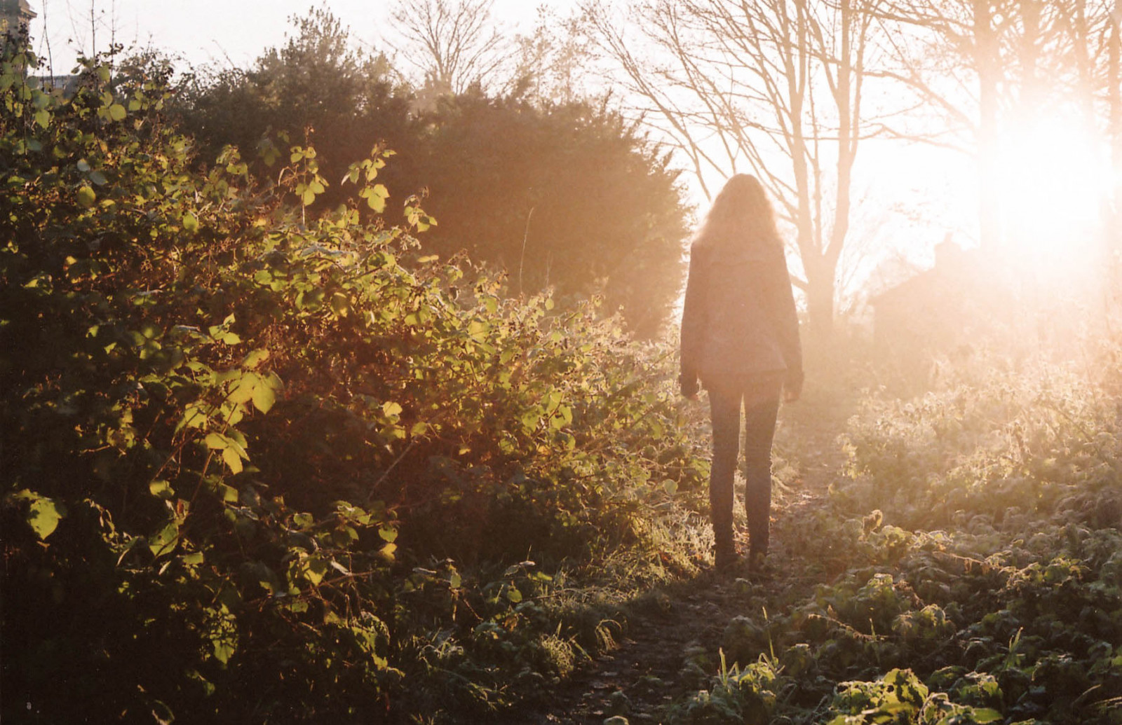 slunečnímu záření, krajina, les, Příroda, tráva, nebe, pole, větev, večer, ráno, mráz, slunce, podsvícení, jaro, Olympus, světlo, strom, podzim, list, dívka, mě, film, louka, om10, přední strana, zálesí, Gledwoods