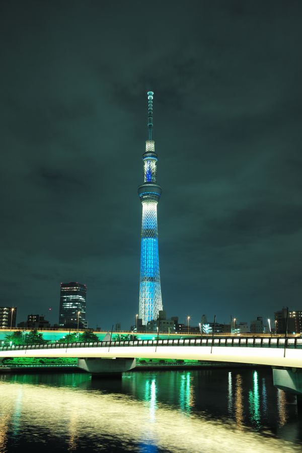 Japan,city,cityscape,night,architecture,reflection