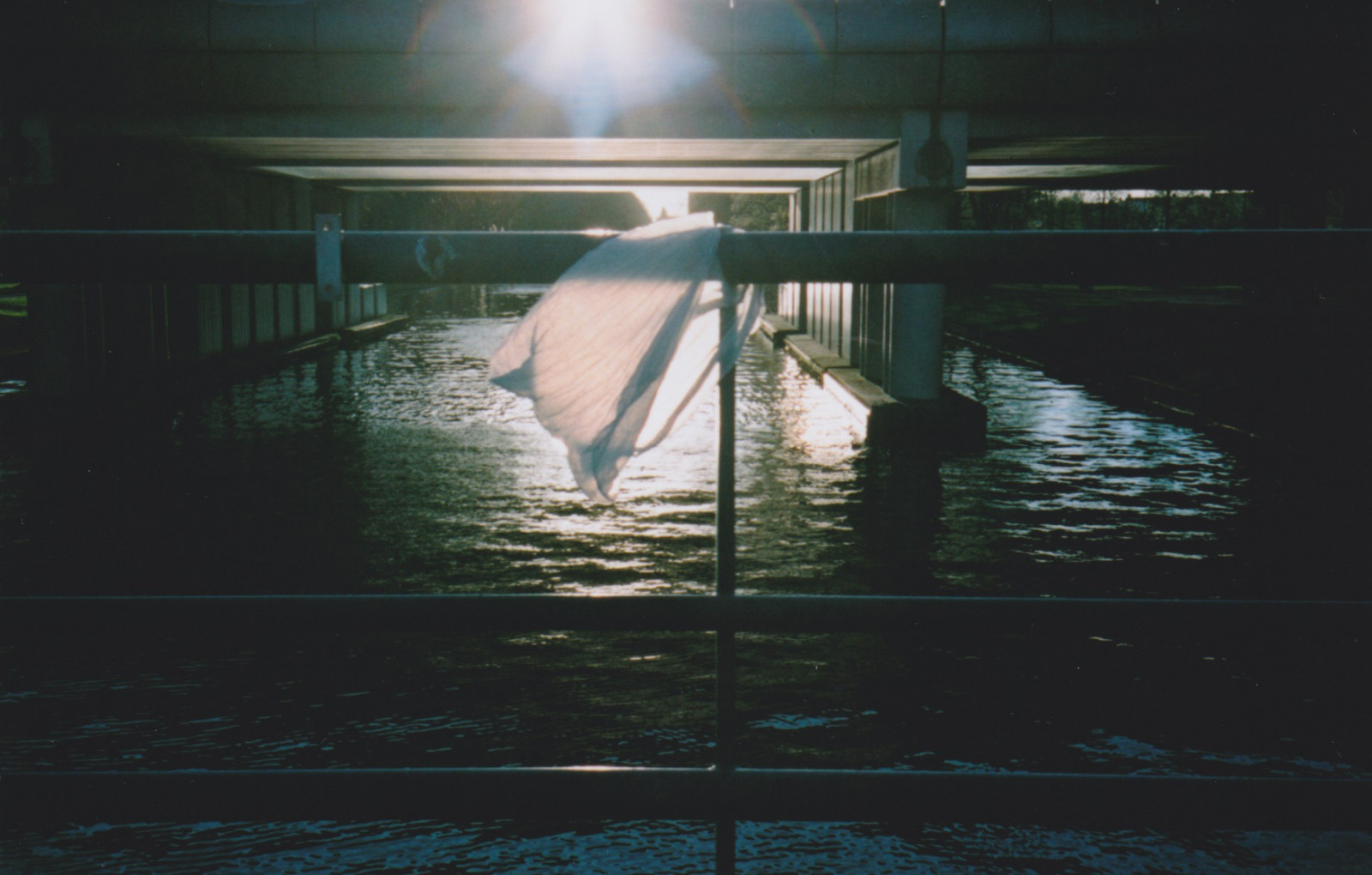 odraz, voda, světlo, tma, jev, slunečnímu záření, noc, nebe, fixed link, uklidnit, půlnoc