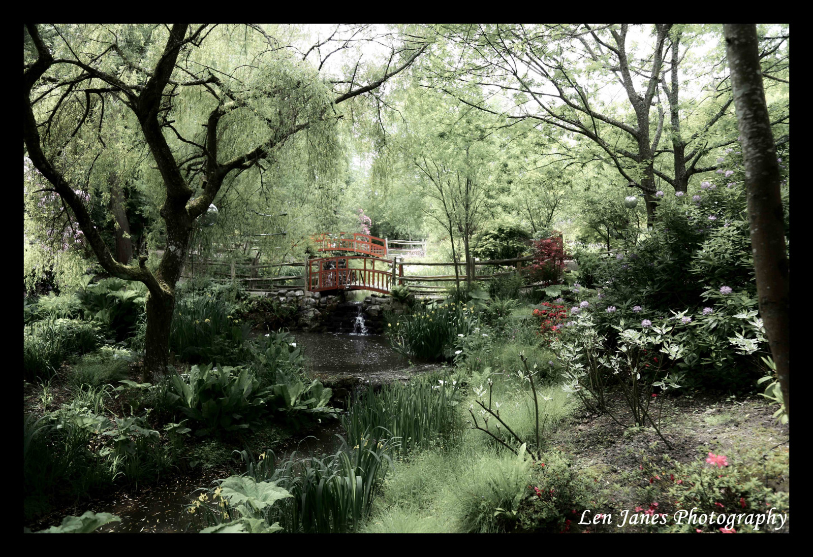 most, růžový, Červené, moře, divoký, letní, panoráma, kůň, hnědý, slunce, Dům, barva, barva, roztomilý, mužský, zelená, Příroda, voda, Krásná, pole, listy, zvíře, soubor, děti, ženský, plavat, deštník, Kánon, Báječné, řeka, zábava, myš, Šedá, opice, záliv, loď, list, zajímavost, jaro, zajímavý, fantastický, písek, micky, skály, kobyla, loď, Pohled, břeh řeky, sladký, hospodařit, země, dav, opálení, scénický, Disney, prozkoumat, čísla, Sokol, větvička, přistát, koruna, půvabný, zájem, klisnička, Woburn, eos6d, lensgallery, Robinhillisleofwight, padesát odstínů šedi, Canon70200l, Canon28105l