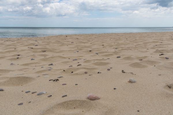 sea,sky,shore,sand,beach,calm