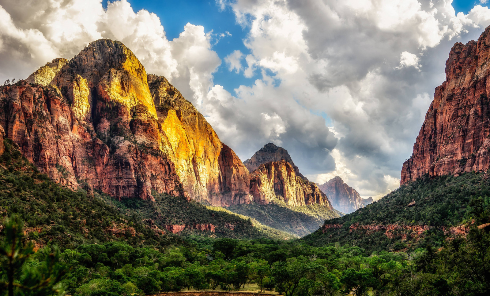 alberi, paesaggio, roccia, natura, parco, nuvole, scogliera, Parco Nazionale, valle, canyon, Utah, Zion National Park, altopiano, Formazione, Terreno, autunno, montagna, geologia, morfologie montane, landform, caratteristica geografica, catena montuosa, calanchi