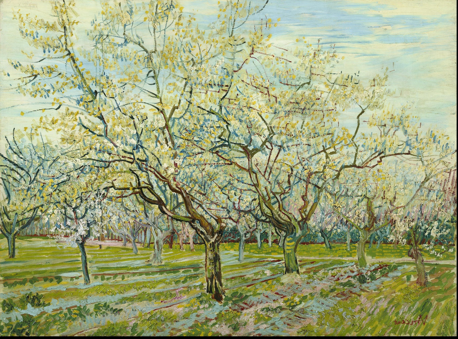 rostlina, ekoregion, Art paint, Natural landscape, People in nature, malovat, větvička, UMĚNÍ, strom, lučina, malování, krajina, obdélník, louka, tráva, Tints and shades, kufr, kvetoucí rostlina, visual arts, výkres, ilustrace, akvarel barvy, závod stonek, opadavý, pole, akrylová barva