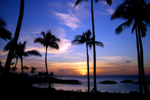 Canon PowerShot SD200 - Wallpaper & HD Wallpapers - WallHere