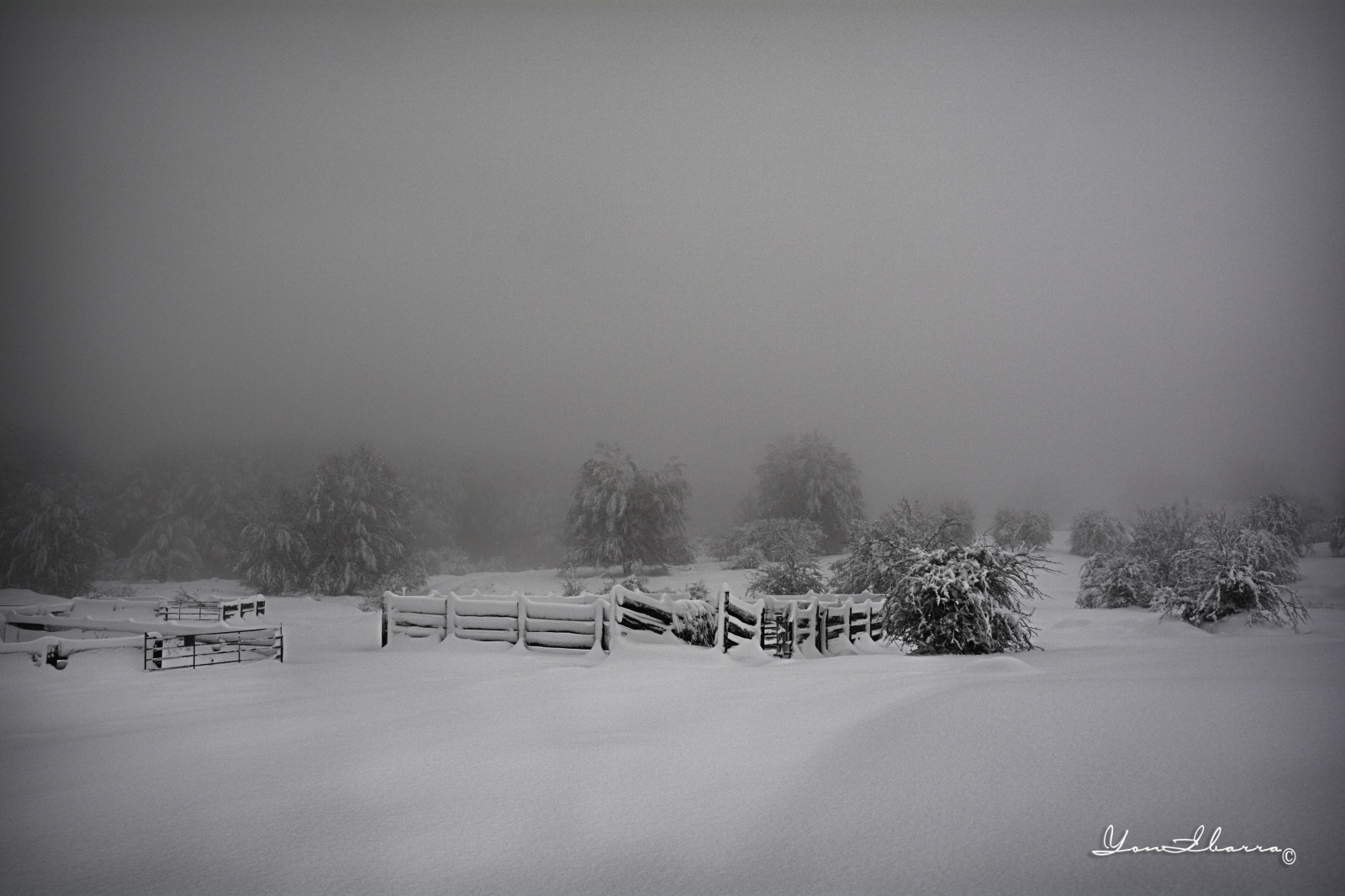 blancoynegro, bianco e nero, frio, freddo, Vallas, recinzioni, cercado, caballo, cavallo, cielo, cielo, nieve, la neve, nebbia, niebla, opacua, alavaaraba, euskadi, paisvasco, basquecountry, espana, Spagna, Europa, inverno, invierno, HDR
